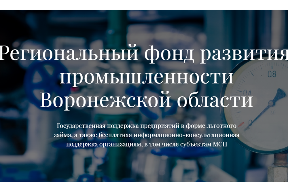 Вадим Дмитриев возглавил воронежский фонд развития промышленности