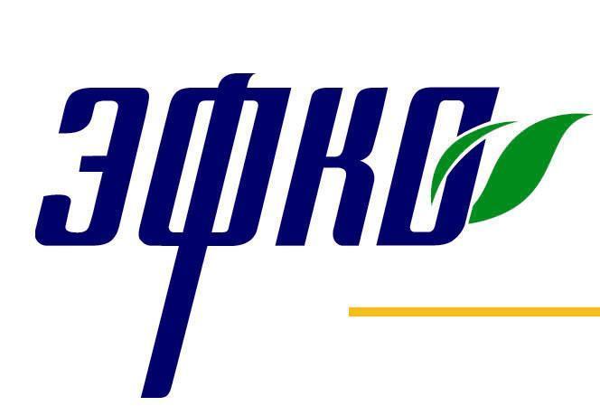 Евдаковский МЖК перейдет под контроль «Эфко» к середине ноября