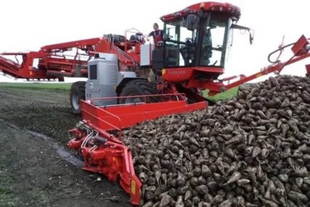 Аграрии Воронежской области собрали 4 млн тонн сахарной свеклы