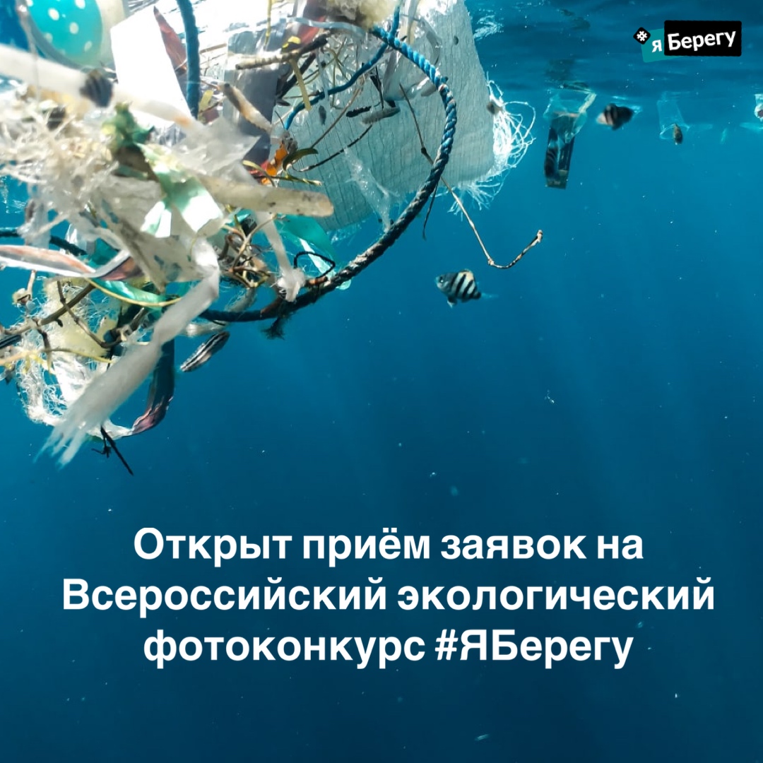 Открыт прием заявок на Всероссийский конкурс экологической фотографии