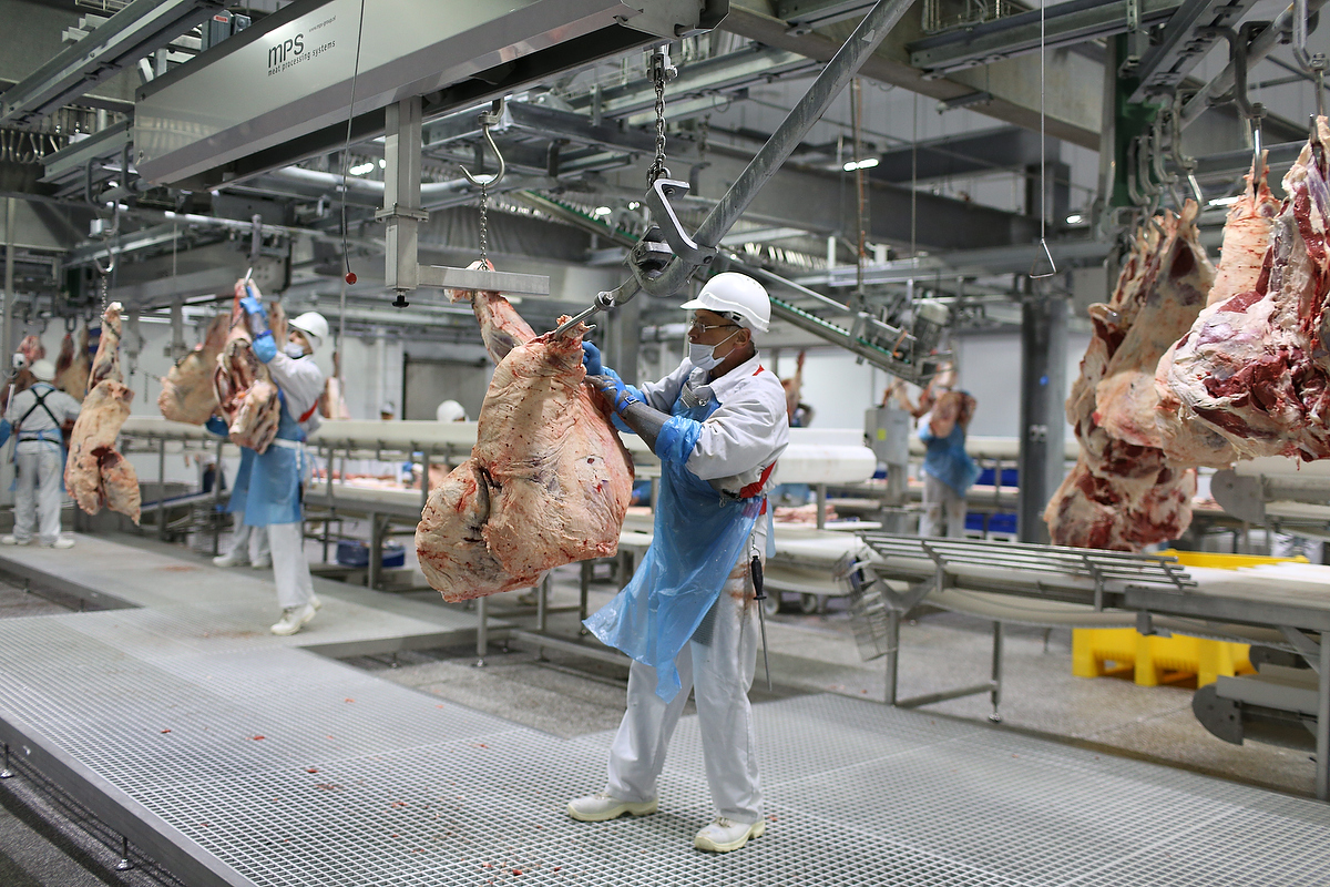 Производство мяса в Воронеже растет