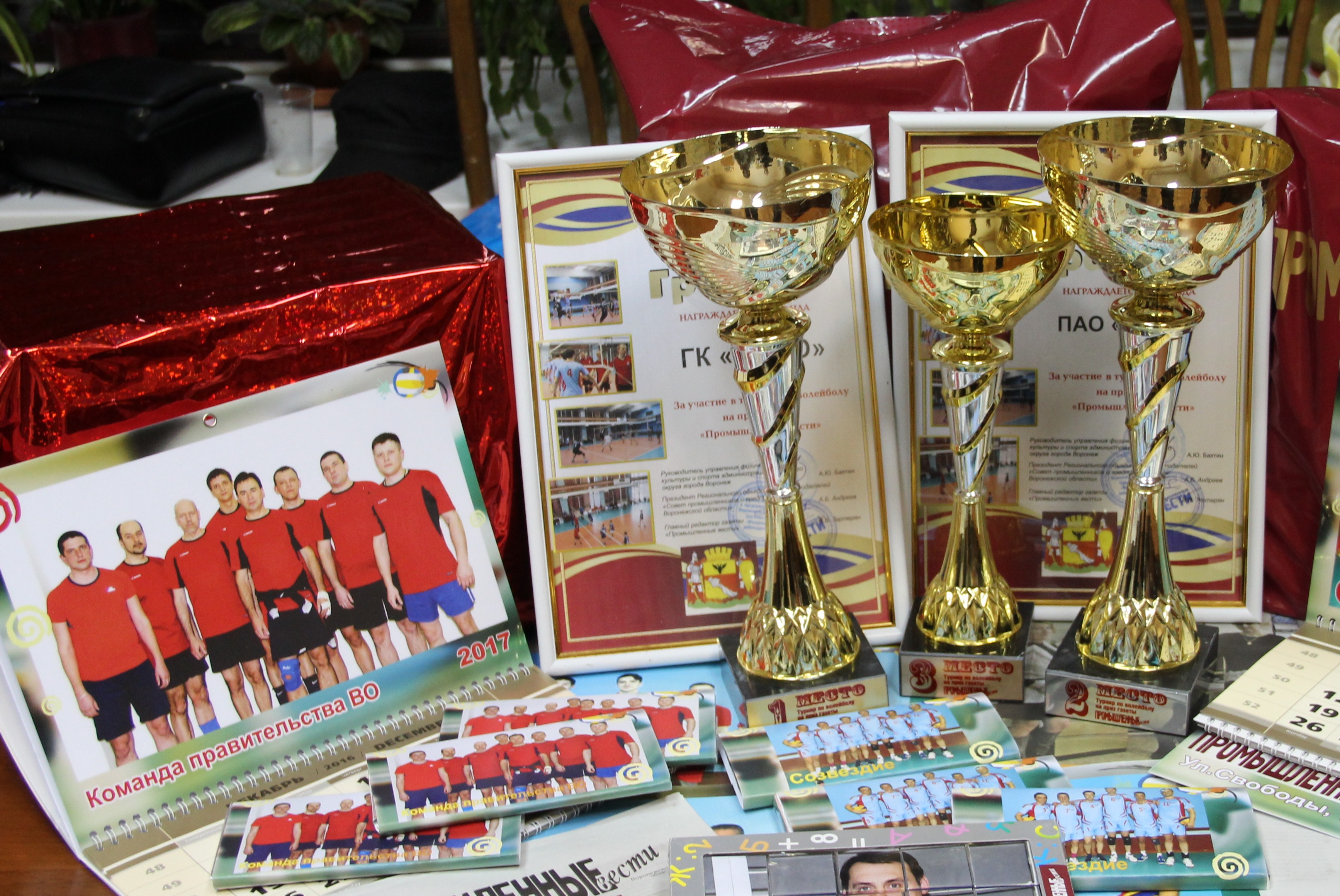 Все на волейбол: в Воронеже состоится региональный корпоративный чемпионат