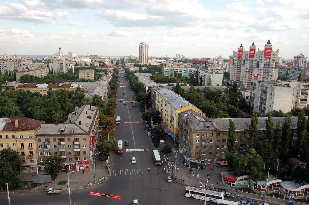 Плехановская - «Лучшая торговая улица»