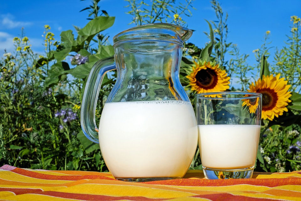Воронежская область установила рекорд в производстве молока