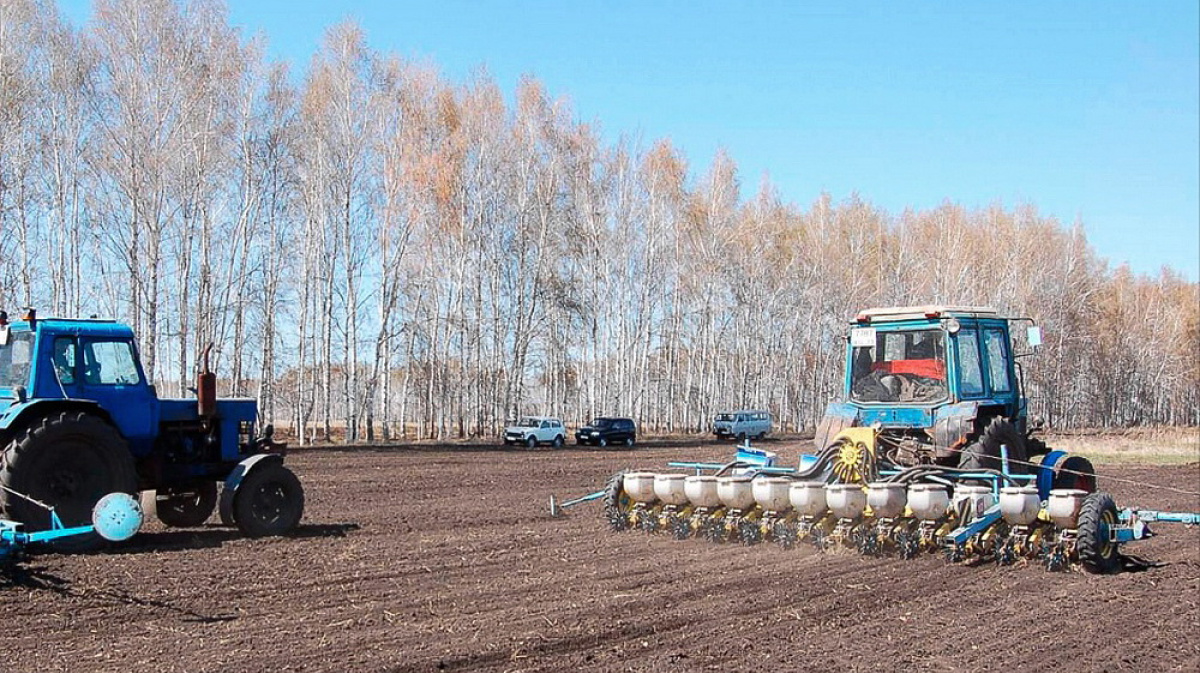 В Воронежской области началась весенняя посевная кампания