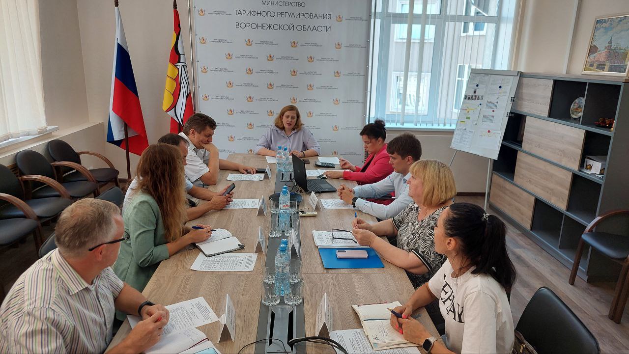 Озвучены причины повышения стоимости проезда на транспорте в Воронеже