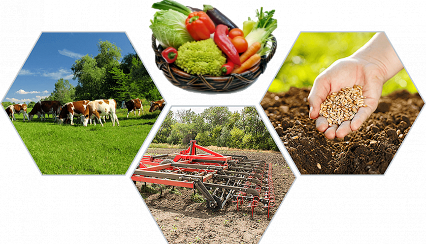 сельскохозяйственный кооператив. сельское хозяйство. аграрий и сельское хозяйство. агро промышленный комплекс. элеватор для зерна.