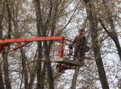 Воронежэнерго повышает надежность энергоснабжения потребителей Новоусманского района 