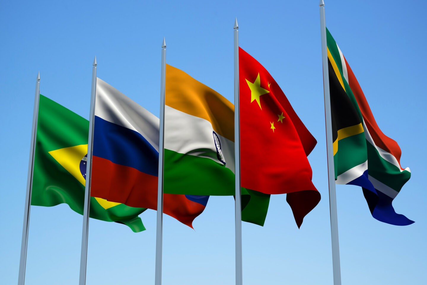 В фокусе воронежских международников развитие взаимоотношений со странами БРИКС