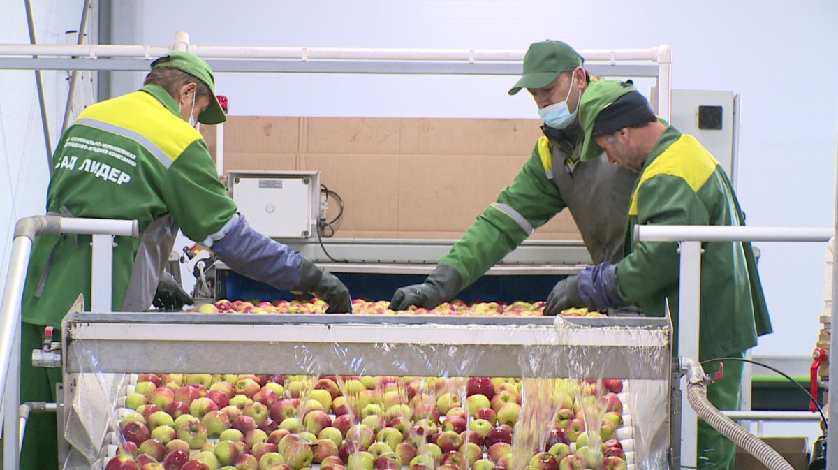 В бесплатное питание для детей включат воронежские органические продукты