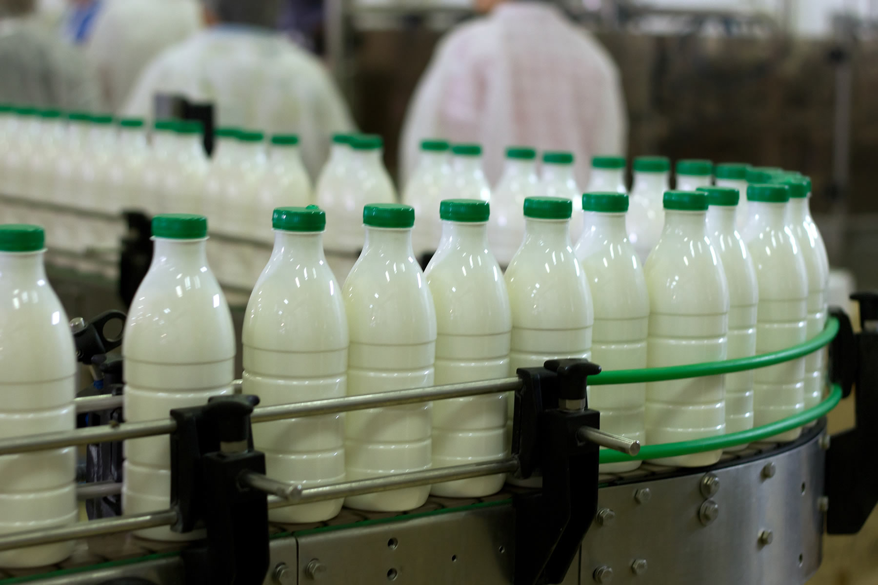 Воронежская область удерживает лидирующие позиции по производству молока