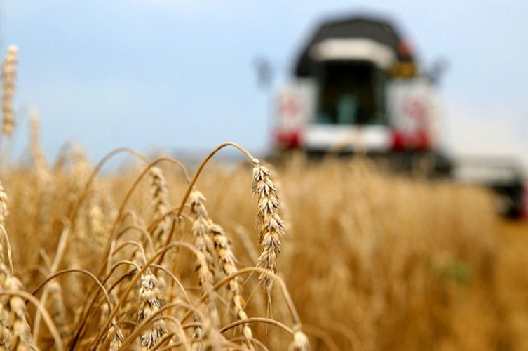 Собран первый миллион тонн зерна нового урожая