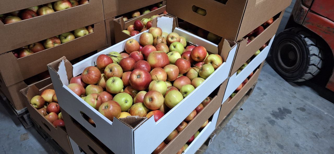 Воронежская область возглавляет рейтинг производителей органической продукции