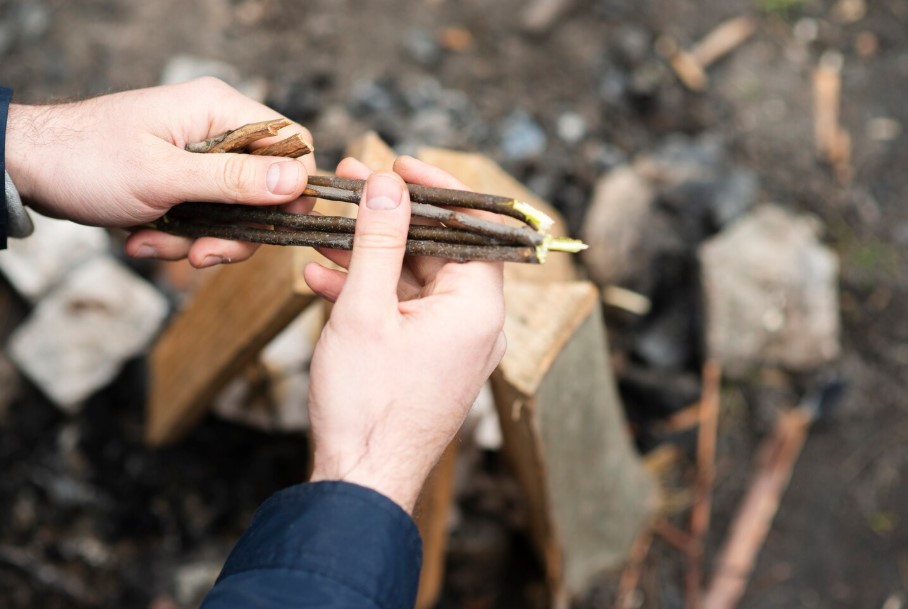 Гострудинспекция расследует тяжелый несчастный случай с работником КФХ в Терновском районе