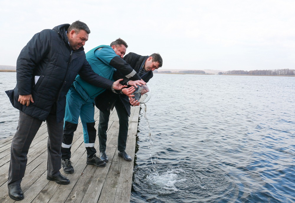 В водохранилище выпустили 80 тысяч мальков толстолобика и сазана