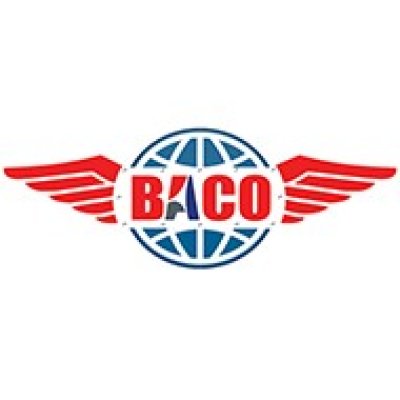 ВАСО может войти в состав транспортной компании «Ил»
