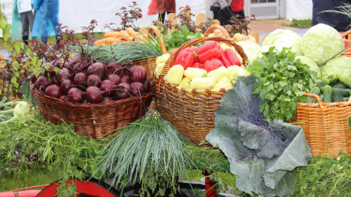 Белгородская область может стать лидером по производству "органики" и "зеленой" продукции