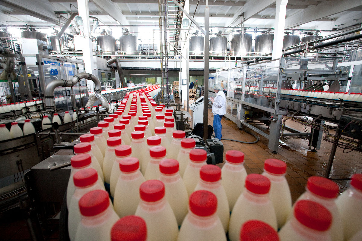 Воронежская область в лидерах по объему реализации молока