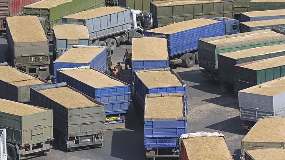 Воронежские перевозчики зерна присоединились к общероссийской забастовке