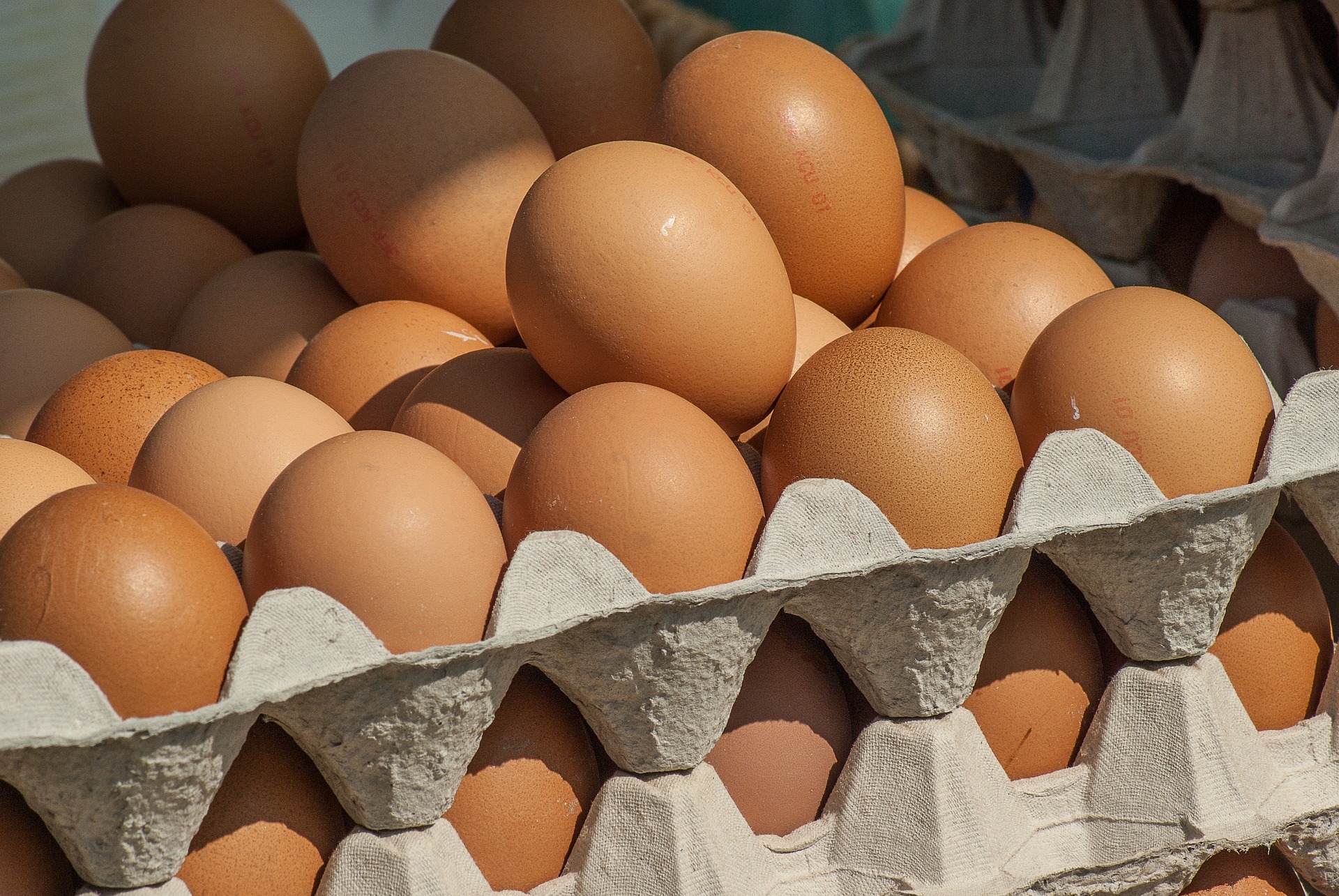 ФАС проанализирует рост цен на куриные яйца