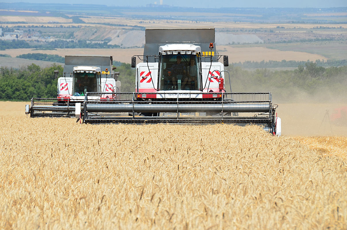В Воронежской области собрали уже второй миллион тонн зерна