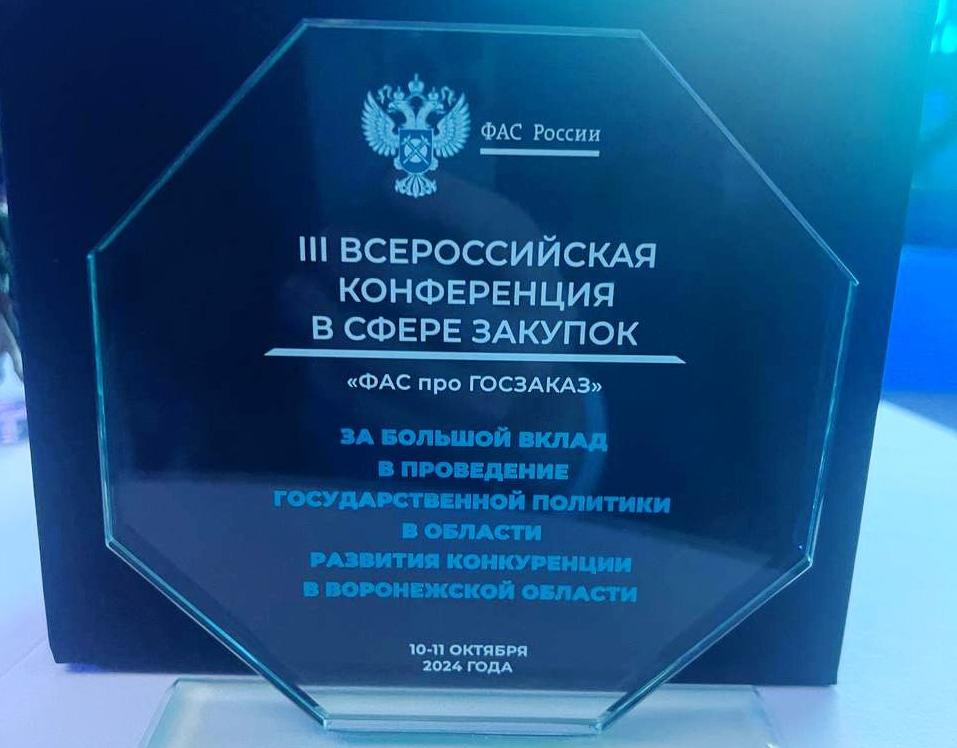 «Белая книга» приросла практиками Воронежской области